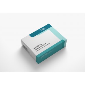 SARS-CoV-2 Antigen Rapid Test Kit